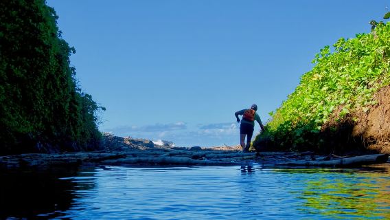 Mauricio: Excursión de senderismo de 3 horas por el sur salvaje