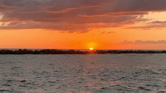 Destin: Dolphin Watching Cruise