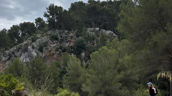 Von Palma aus: Wandern in der Sierra de Tramuntana mit kleinem Picknick