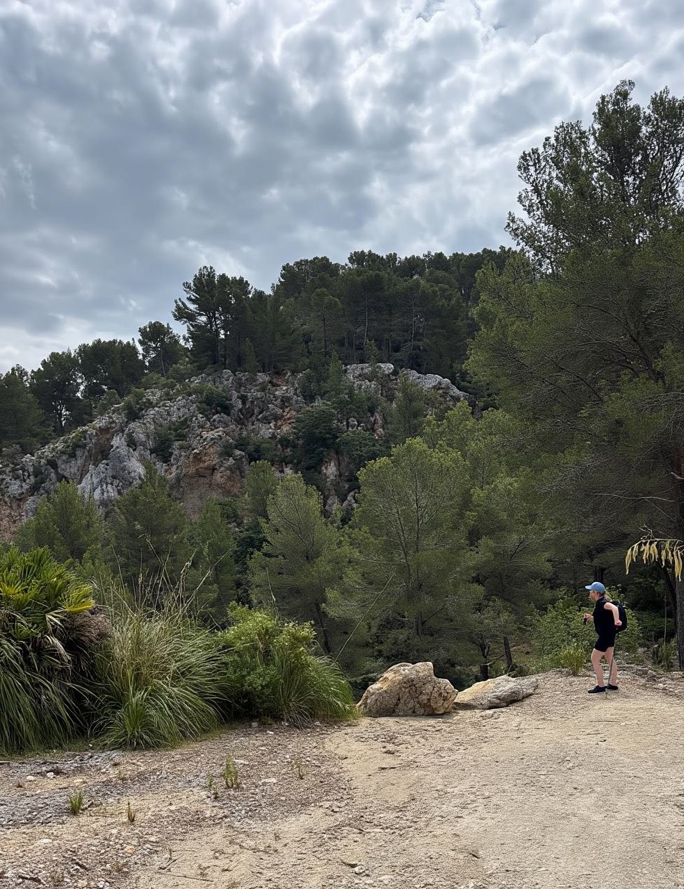 From Palma: Sierra de Tramuntana Hiking with small Picnic