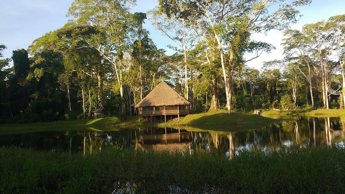 Madre de Dios: Lake Saldoval + Visit to the Macaws