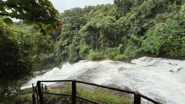 清邁：茵他儂公園和 2 小時健行 Pha Dok Siew