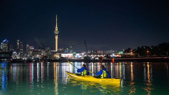 Auckland: Kajaktour durch die Lichter der Stadt bei Nacht
