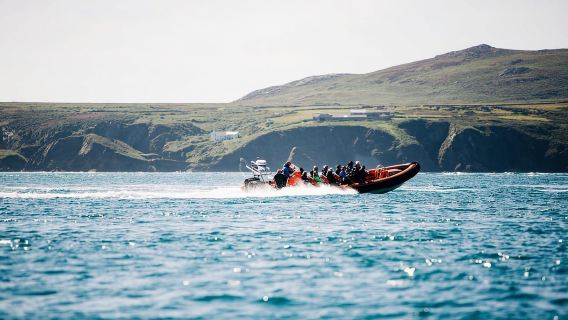 Newhaven: tour in barca delle Seven Sisters e di Birling Gap