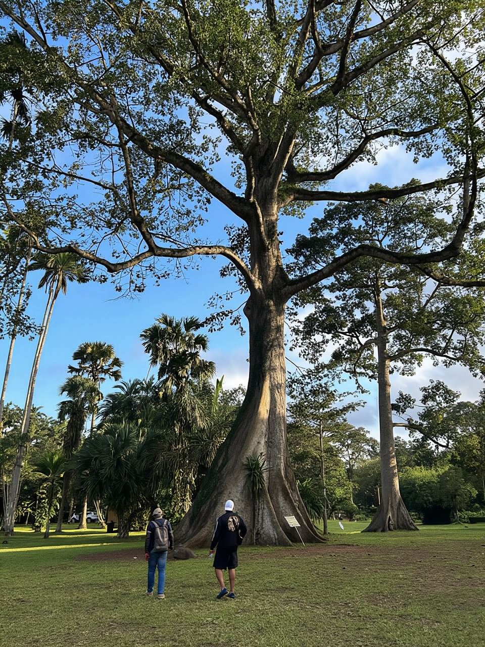 Accra: Quadbike, Waterfall,Lunch& Aburi Adventure Tour