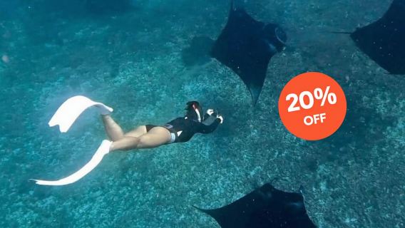 Dari Bali: Snorkeling di Manta Point Nusa Penida & Tur Darat