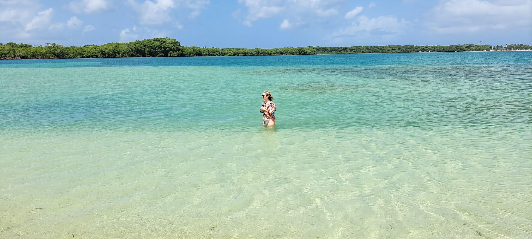 Buccoo Reef and Nylon Pool Adventure