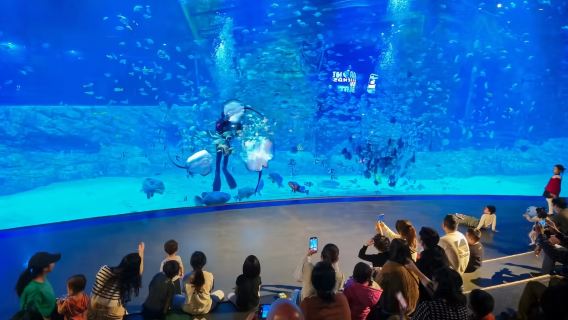 Tour thuê xe riêng tại Hà Nội, Việt Nam: Hành trình gia đình + lịch trình linh hoạt + đón tận nơi