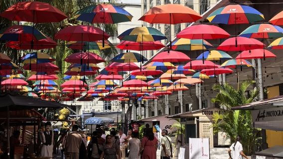 模里西斯紅頂教堂+龐普勒穆斯植物園+蔗糖博物館+路易港一日遊