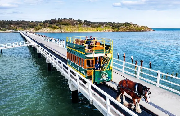 SA特色包括漢道夫、維克多港、黛倫堡魔方酒莊
