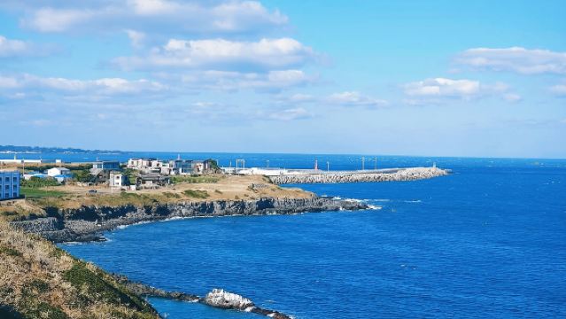 濟州島東線包車一日遊【中韓雙語+專車】可定制行程一手報價