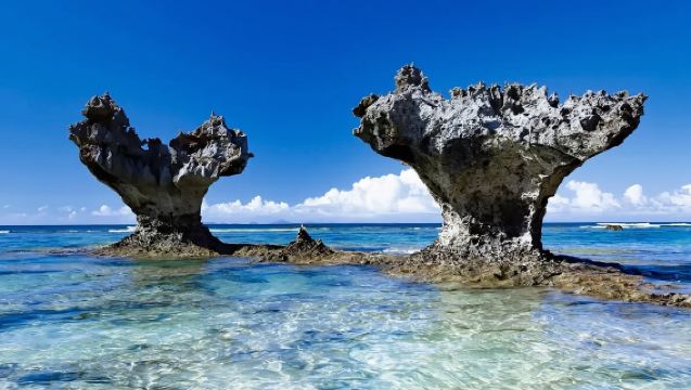 日本沖繩-萬座毛-美麗海水族館-古宇利島【中文包車自由行】