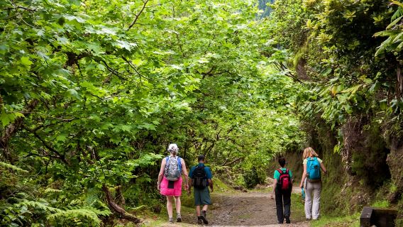 São Miguel: Ganztägige Wanderung zum Lagoa do Fogo