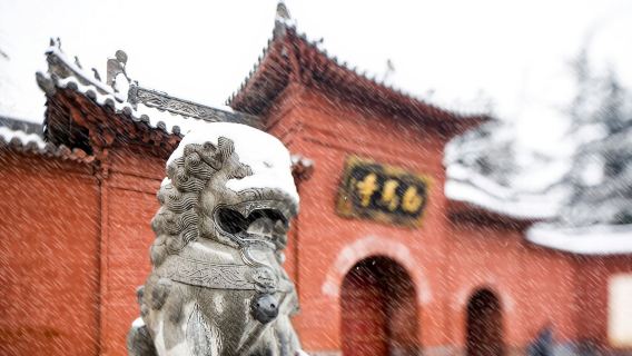 洛陽日遊
