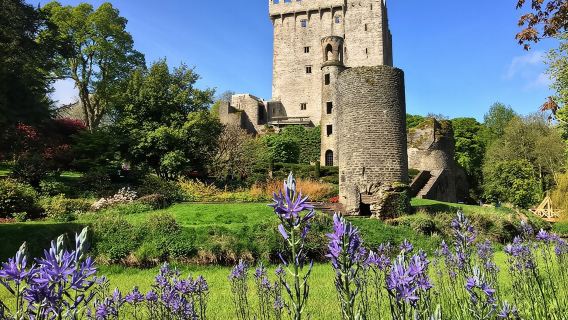 Cobh (คอร์ก) ไปยังปราสาท Blarney และ Kinsale - ทัศนศึกษาชายฝั่ง