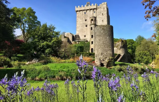 科夫（科克）至布拉尼城堡及金塞爾 - 岸上觀光