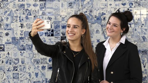 Royal Delft: Delftblue Factory and Museum Admission Ticket