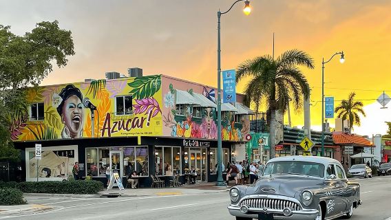 Miami All-In-One Tour: 6 hrs City Streets & boat tour