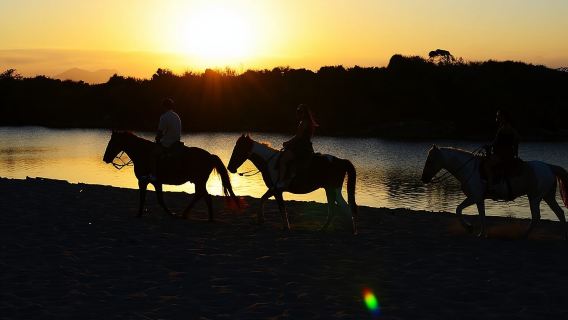 2-Hour Horseback Riding Tour at Sunset from Punta Cana