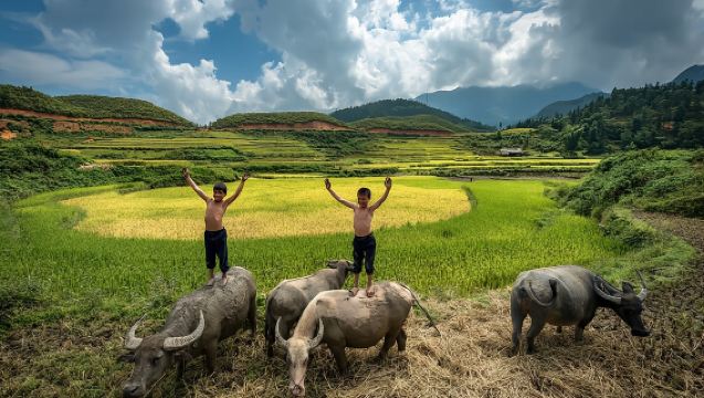 กรุ๊ปทัวร์นินห์บิ่ง 11 คน จากฮานอย ผ่านถ้ำมัว ตำก๊ก หัวลือ
