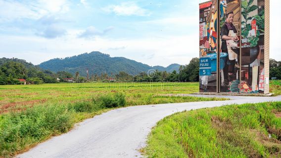 Rice field container mural + Yihe cardamom factory + sheep farm + batik factory + Betong fishing village one-day tour