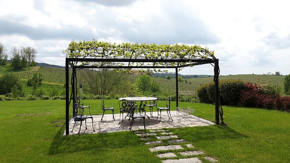 Winery tour and wine tasting at La Raia in Gavi in Piedmont