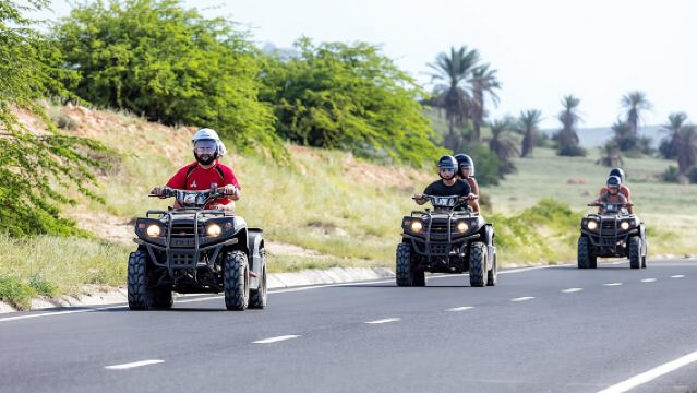 キオタリ発ロードス島クワッドサファリの入場チケット