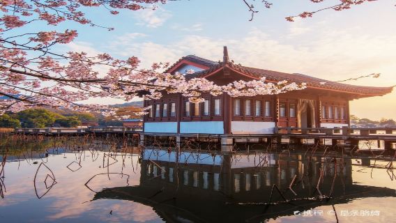 杭州西湖遊船杭州宋城純玩跟團1日遊