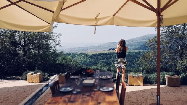 Discover Valpolicella Vineyards and Wine Tasting Experience