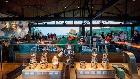 Hacienda Alsacia Starbucks Coffe Tour