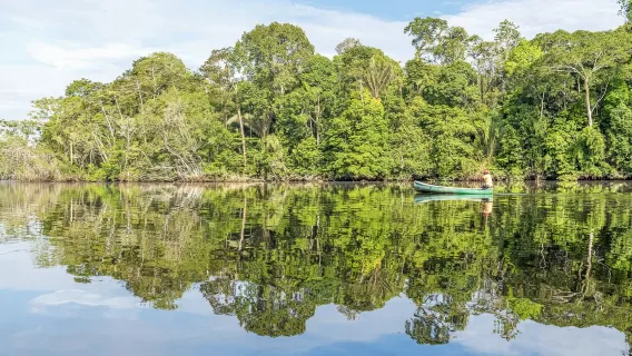 1-day tour from Manaus, Brazil: Amazon Jungle Trekking & Pink Dolphins (Small Group of 12)