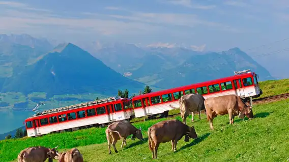Switzerland Rigi + Lucerne 1-day tour [Departure from Zurich/Lucerne available]