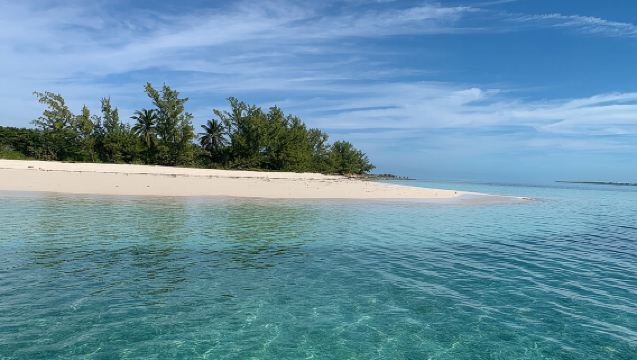プライベートアイランドホッピングボートツアーでウミガメを見よう