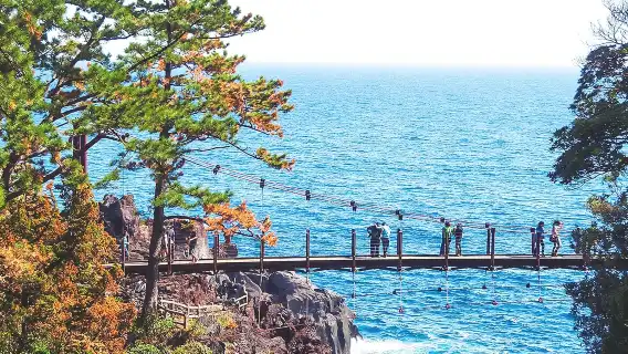 日本東京伊豆一日遊：大室山+動物園+觀海列車體驗+城崎海岸