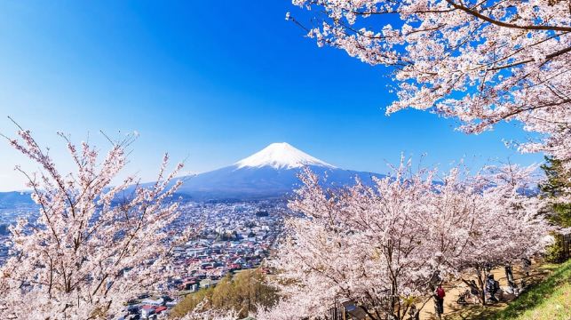 東京富士山全景一日遊|新倉山淺間公園&日川時計店&忍野八海&河口湖大石公園&網紅羅森便利店【東京出發】