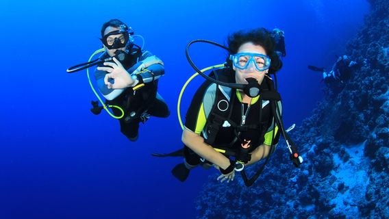 SSI Open Water Diver Course - 3-Day OW Diving Certification in Kota Kinabalu, Malaysia