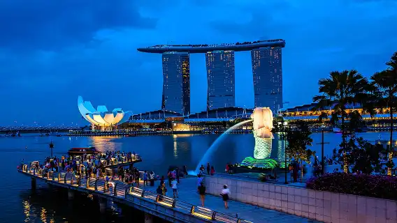 Singapore Private Car Tour – Explore the City in Comfort with a Top Driver