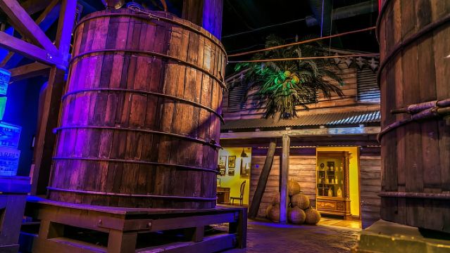 Экскурсия по историческому наследию в Casa BACARDÍ в Пуэрто-Рико