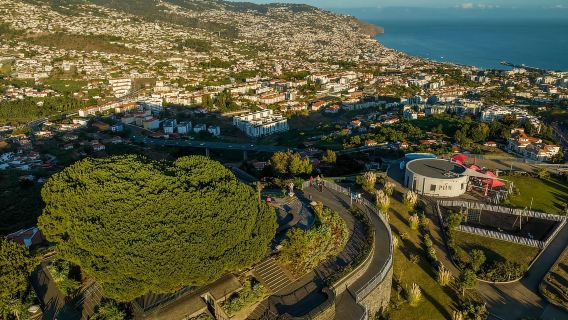 Tour privato in Vespa Valle delle Monache, Câmara Lobos, CaboGirão (4 ore)