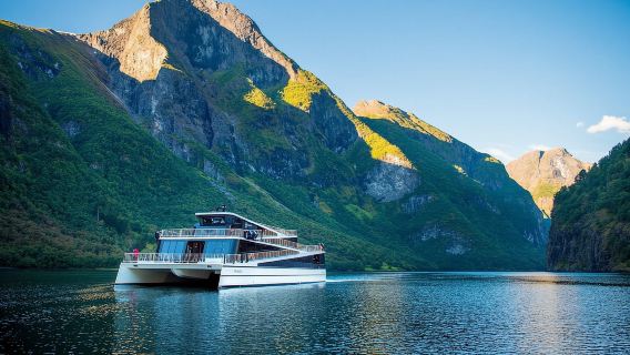 Bergen: Viking Village, Nærøyfjorden Cruise and Flåm Railway