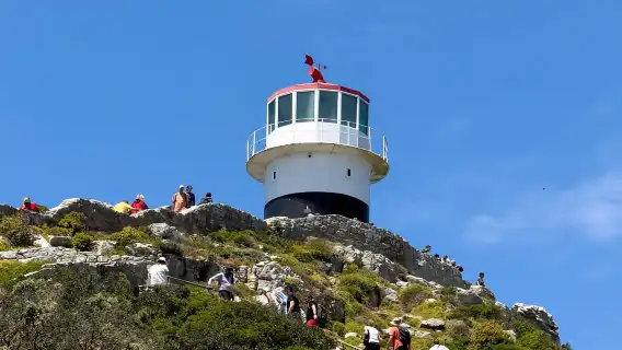 เคปทาวน์: ตั๋วเข้าชมแหลมกู๊ดโฮปและอาณานิคมเพนกวิน