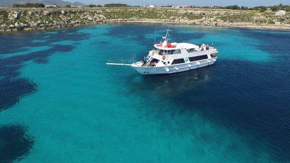 From Trapani: Full-Day Cruise to Favignana and Levanzo