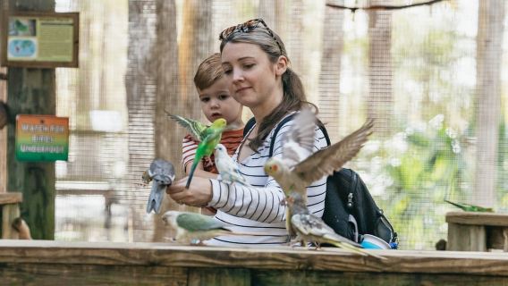 Orlando: Drive-Thru-Safaripark im Wild Florida