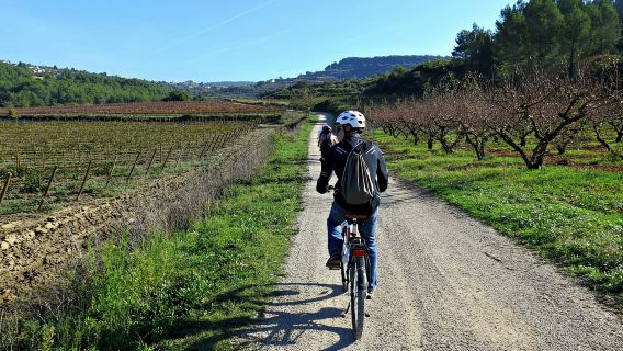 Barcelona: Geführte halbtägige Wein- und E-Bike-Tour