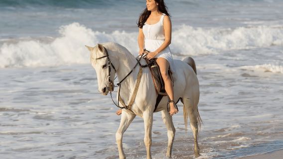 Cartagena: Cabalgata por la Playa al Atardecer