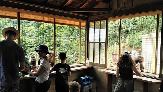 Tour a piedi di un giorno a Kyoto, Arashiyama e Padiglione d'Oro