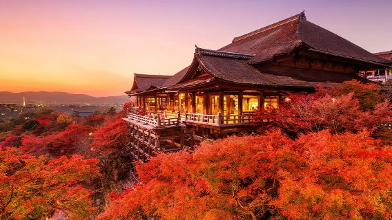 Giappone|Tempio Kiyomizu-dera + Statua di Murasaki Shikibu + Via d'accesso al tempio Byodoin + Padiglione d'oro|auto condivisa in piccolo gruppo