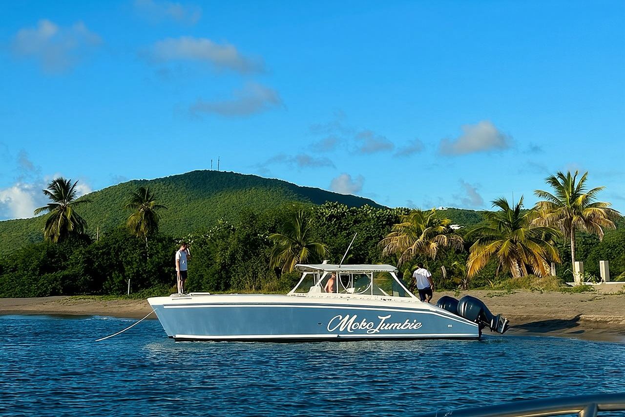 Путешествие на частном моторном катамаране по Сент-Китсу и Невису.