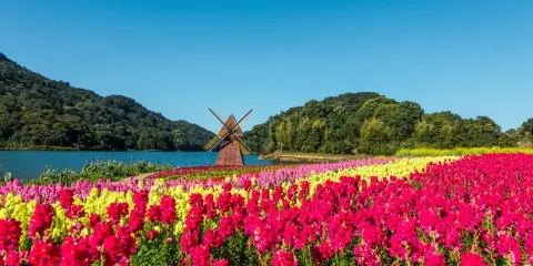 從化石門公園賞四季花海+南平靜修小鎮一日遊|私家小團上門接送
