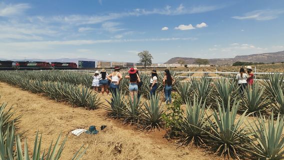 The Fire TOUR - Pyramids, Volcanoes, Agaves & Tequila